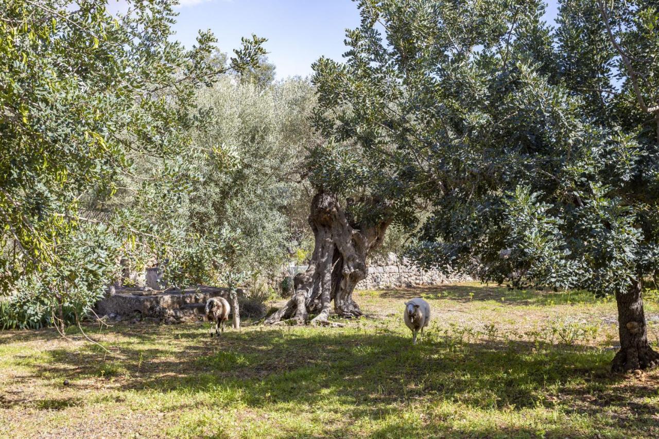 Finca Barons Bunyola Bagian luar foto